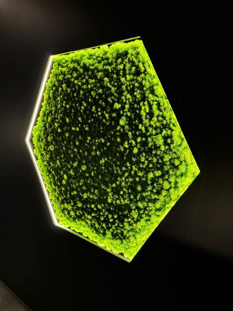 Panel z mchu w kształcie sześciokąta, podświetlony ledowym światłem na czarnym tle. Dekoracja ścienna z roślin stabilizowanych, nowoczesny design.