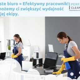 Wycinka drzew Kraków 3