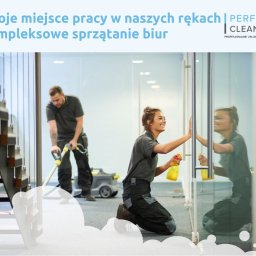 Wycinka drzew Kraków 2