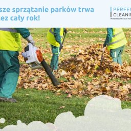 PERFECT CLEANING SPÓŁKA Z OGRANICZONĄ ODPOWIEDZIALNOŚCIĄ - Pracownicy w zielonych uniformach sprzątają liście w parku za pomocą dmuchawy i grabi. Logo firmy Perfect Cleaning w rogu.