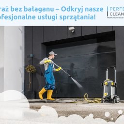 Wycinka drzew Kraków 4