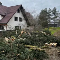 Stos gałęzi i pni drzew po wycince leżący na ziemi przed domem z brązowym dachem i szarym niebem. Widoczna paleta drewniana i pozostałości po cięciu.