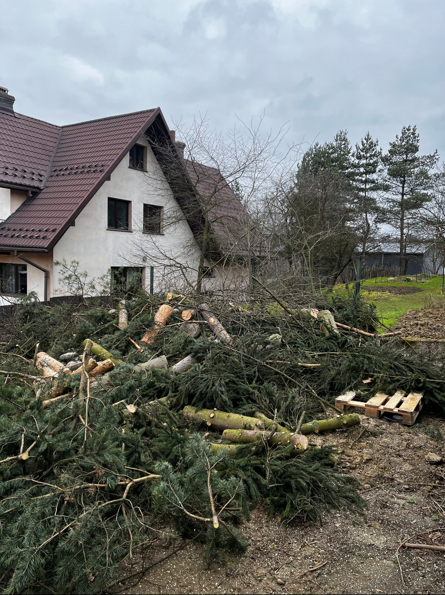 Stos gałęzi i pni drzew po wycince leżący na ziemi przed domem z brązowym dachem i szarym niebem. Widoczna paleta drewniana i pozostałości po cięciu.