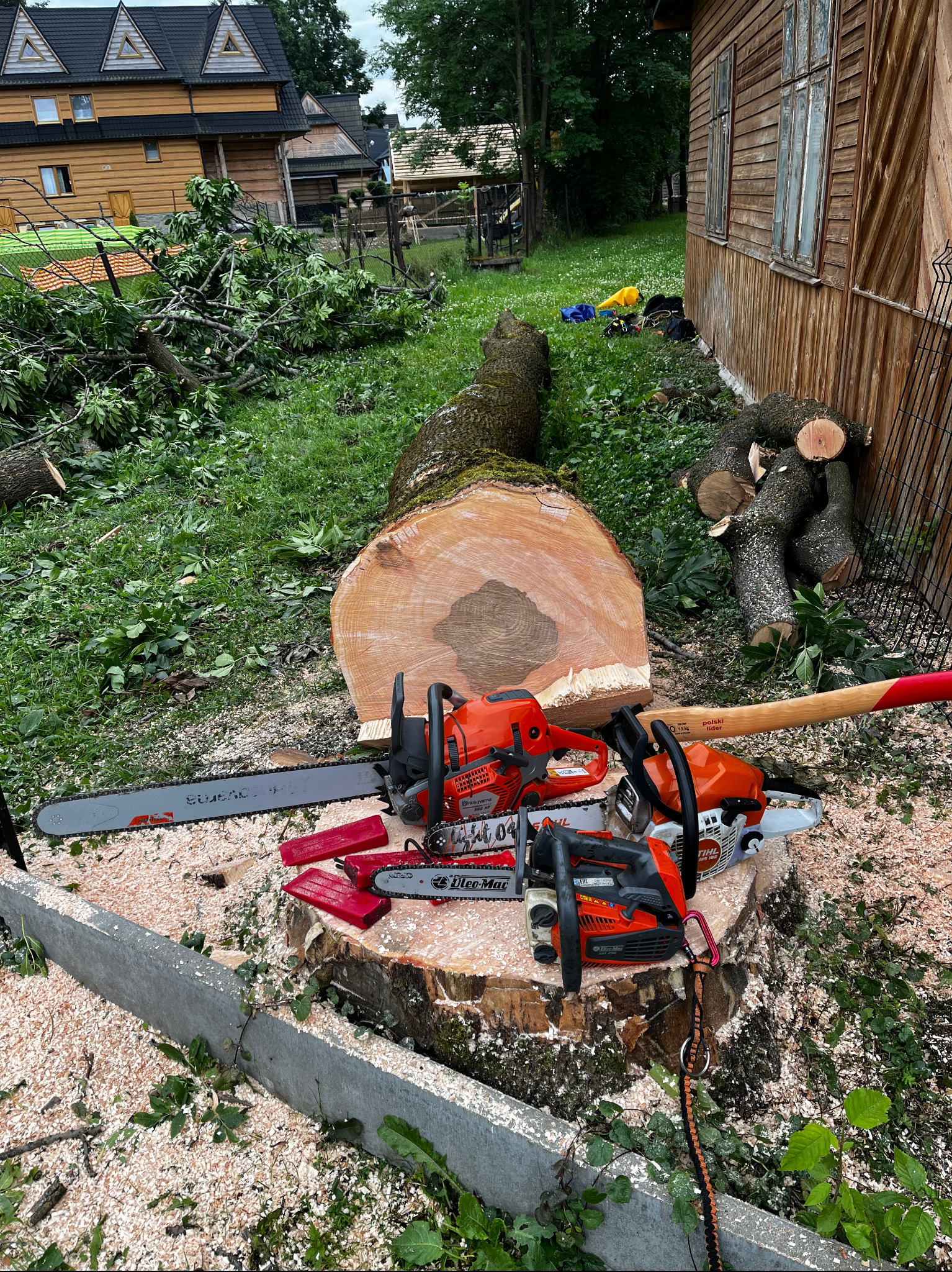 Ścięte drzewo z pniakiem, piły łańcuchowe, kliny i siekiera. Fragment drewnianego domu w tle. Widoczne pozostałości po wycince.