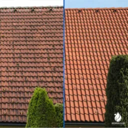 Zdjęcie dachu przed i po czyszczeniu, z wyraźnym kontrastem między zabrudzoną, zieloną powierzchnią a czystą, czerwoną dachówką. Widoczna zieleń i mech na starym pokryciu.