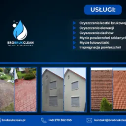 Przykłady usług mycia ciśnieniowego: kostki brukowej przed i po, elewacji przed i po, dachu przed i po. Grafika reklamowa firmy Brobrukclean.