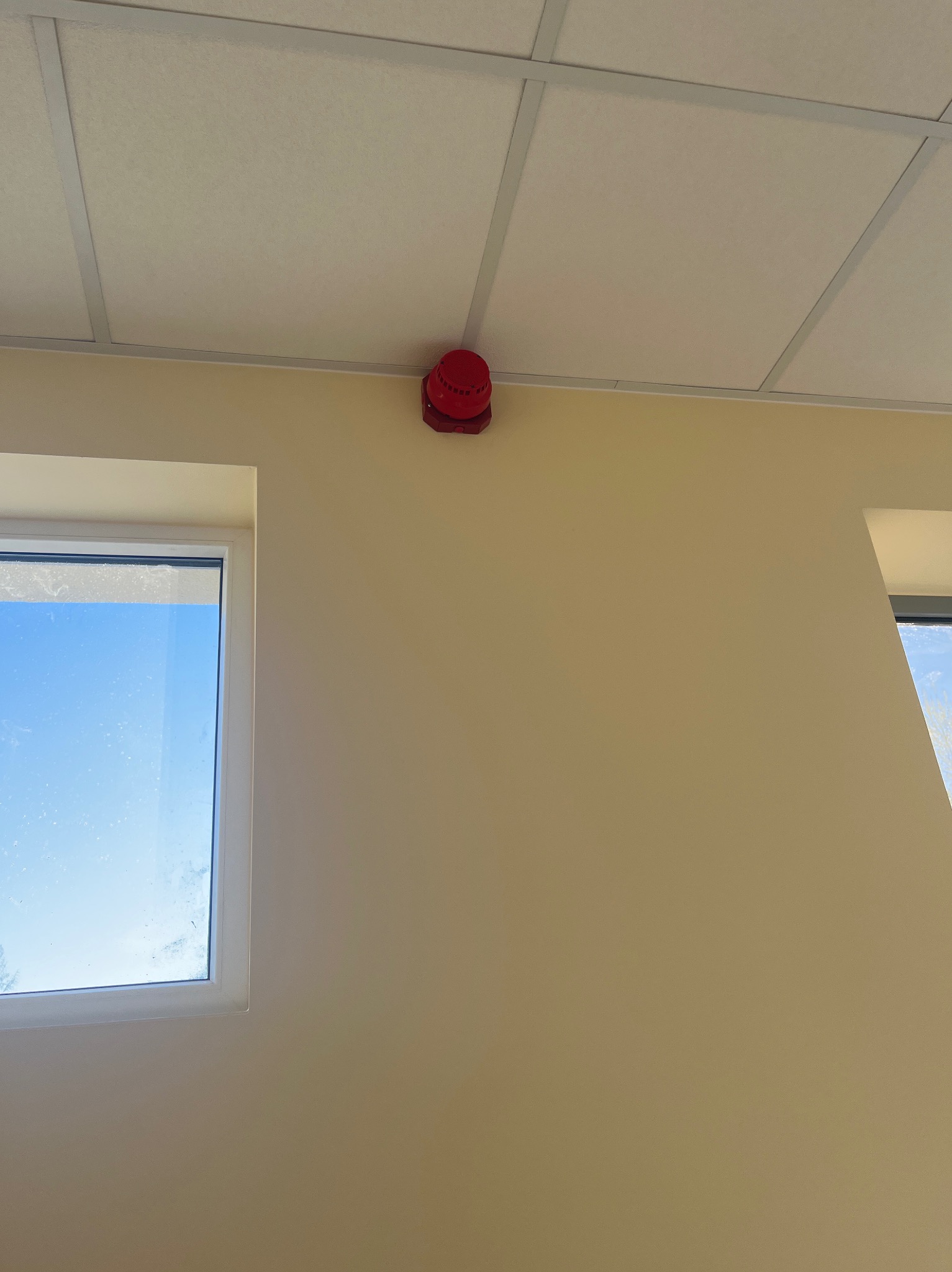 Czerwona czujka pożarowa na suficie podwieszanym w jasnym pomieszczeniu z dwoma oknami. Widok z dołu, czujka zamontowana przy ścianie.