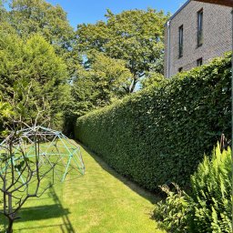 Michał Sobański - Ścinanie Drzew Rogowo