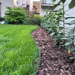 Zakładanie ogrodów Warszawa 4