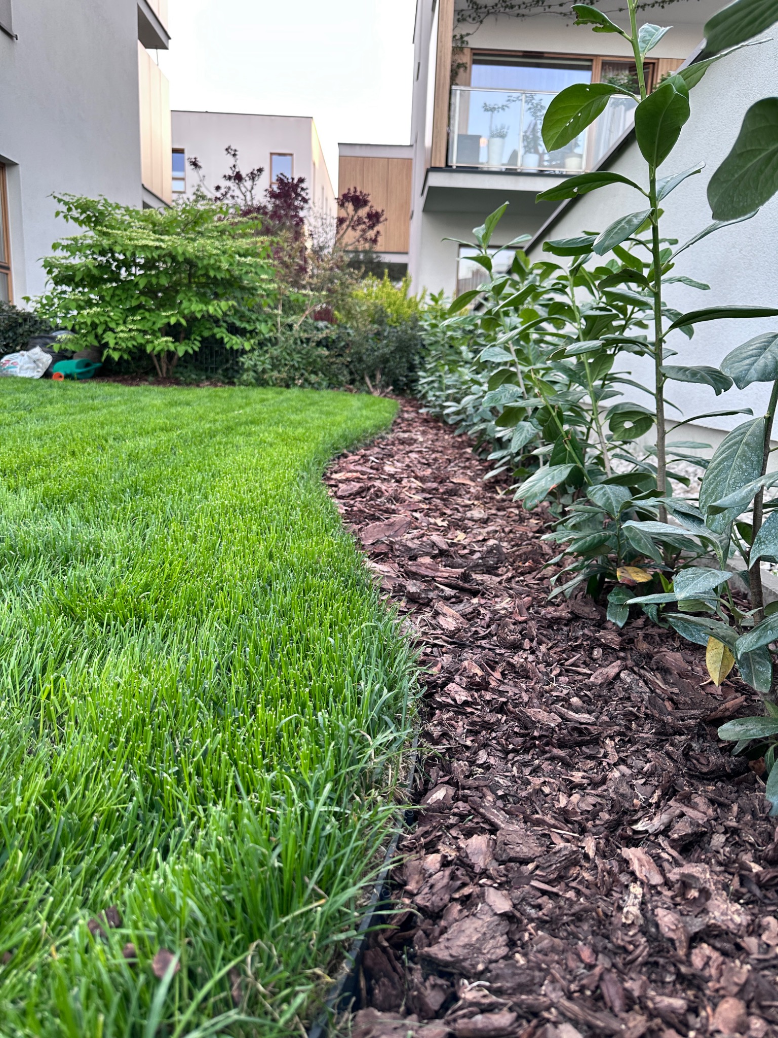 Zadbany trawnik z równo przyciętą trawą graniczy z rabatą wysypaną korą i obsadzoną zielonymi krzewami. Nowoczesna architektura w tle.