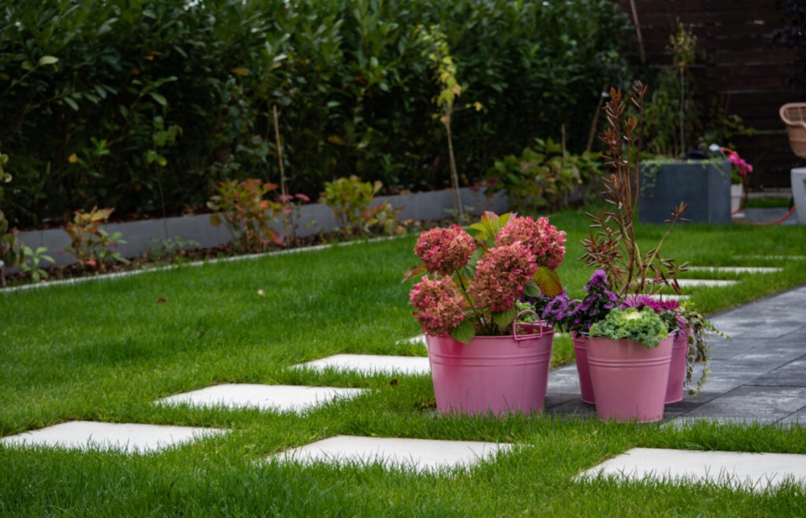 Ogród z trawnikiem, ścieżką z płyt i różowymi donicami z kwiatami. W tle żywopłot i drewniane ogrodzenie. Pastelowe barwy, miękkie światło.