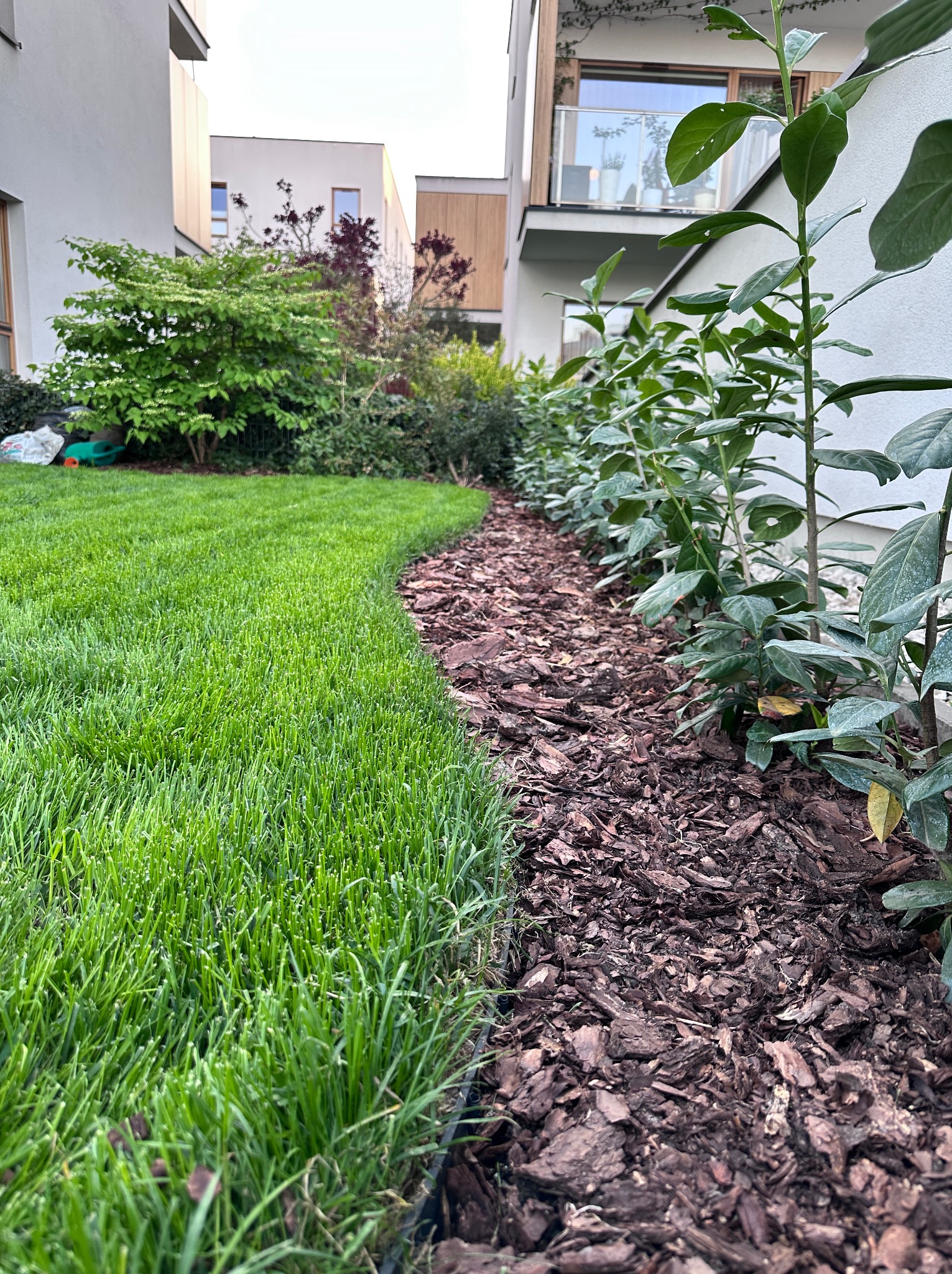 Zadbany trawnik z obrzeżem z kory drzewnej, oddzielającym go od rabaty z zielenią. Widoczna nowoczesna architektura budynków w tle.