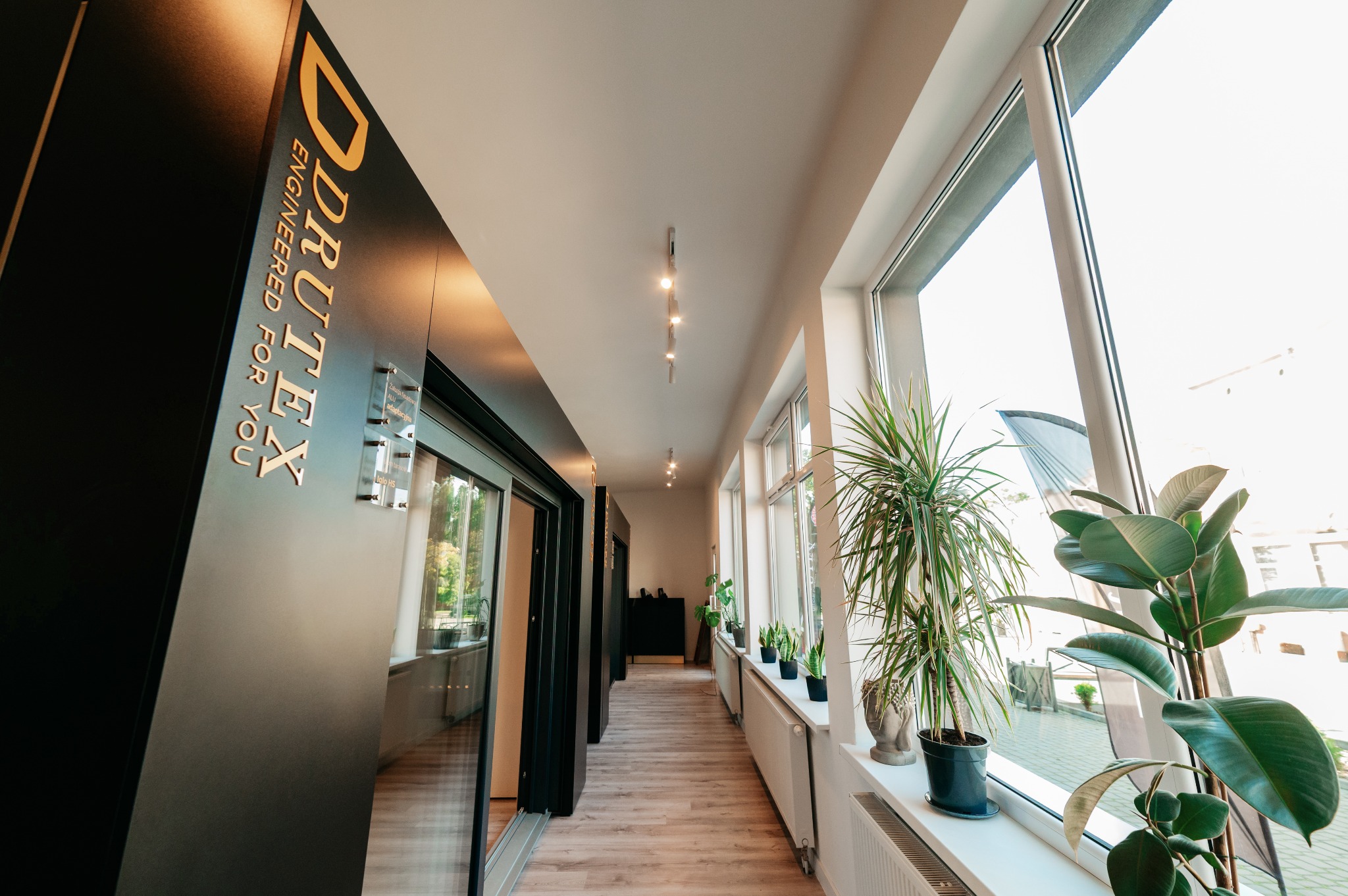 Wnętrze salonu z oknami i przesuwnymi drzwiami balkonowymi marki Drutex, z widocznymi roślinami doniczkowymi i jasną podłogą.