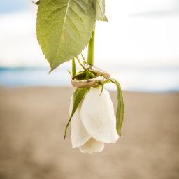 Kamerzysta Kwidzyn 3