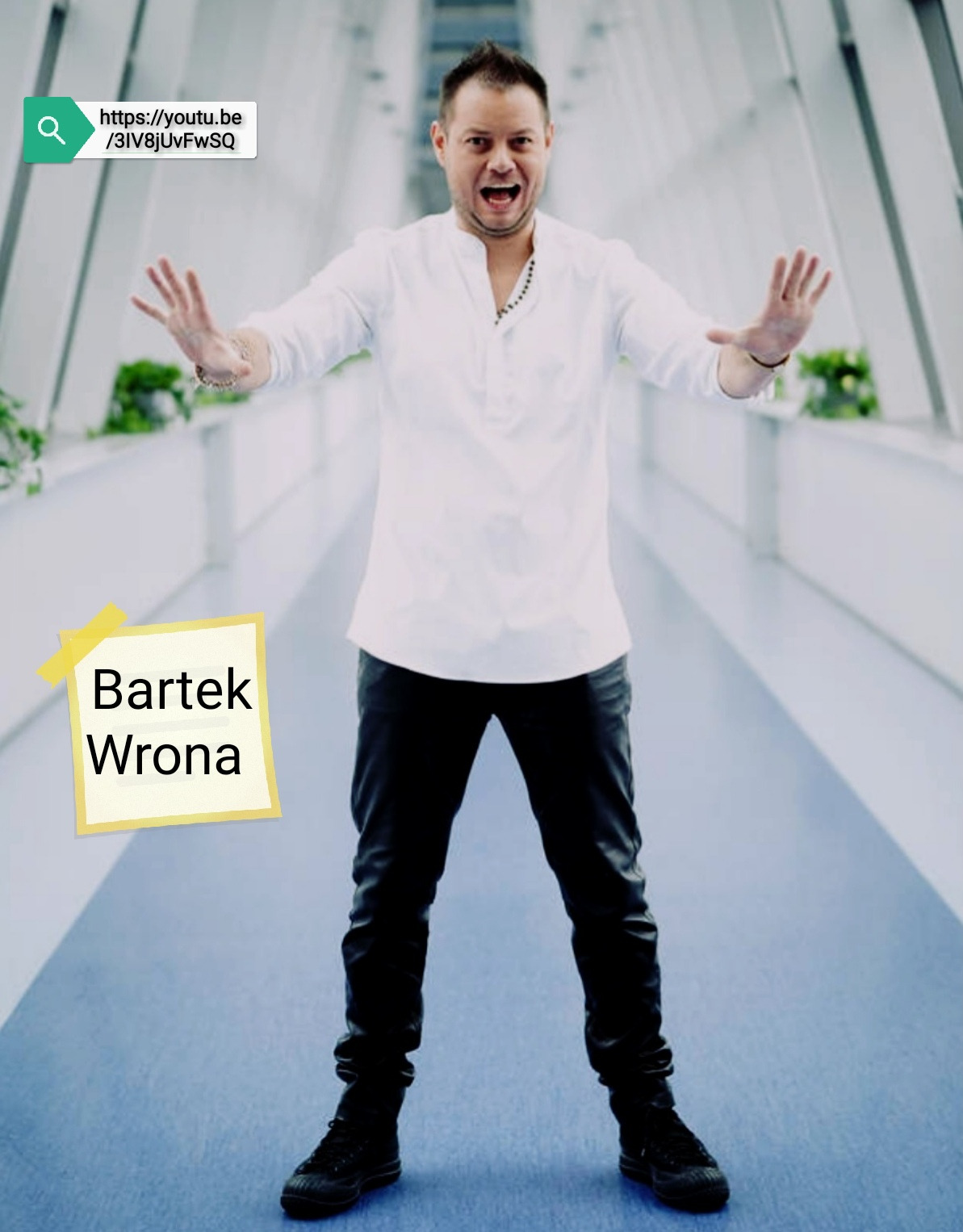 wykonawca muzyki tanecznej