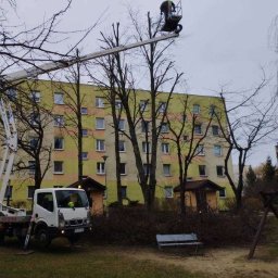 REM-BUD PIOTR WĄSIŃSKI - Renowacja Dachu Lewickie
