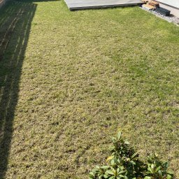 ECO SKILS - Widok z góry na trawnik z młodą trawą, drewniany taras i rząd małych drzewek przy płocie. Częściowo zacieniony, w rogu krzew z zielonymi liśćmi.