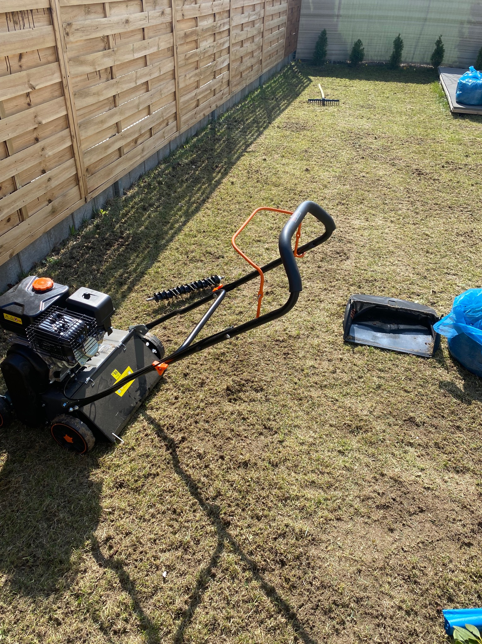Wertykulator spalinowy na trawniku po zabiegu. Widoczny drewniany płot, grabie i worki na trawę. Aeracja trawnika w słoneczny dzień.