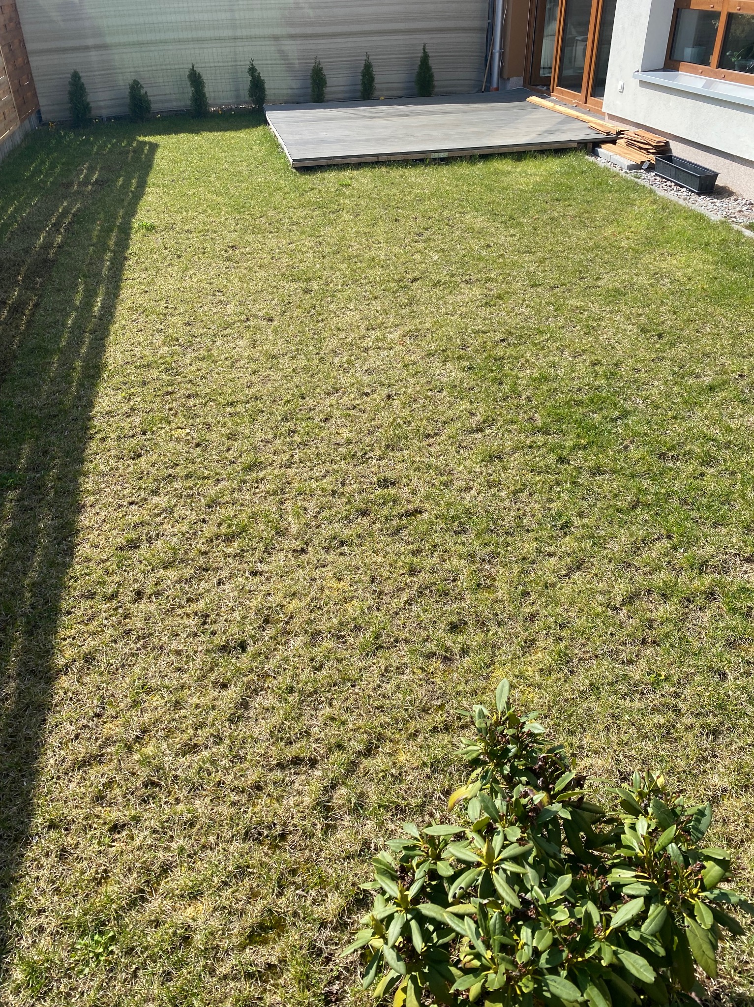 Widok z góry na trawnik z młodą trawą, drewniany taras i rząd małych drzewek przy płocie. Częściowo zacieniony, w rogu krzew z zielonymi liśćmi.