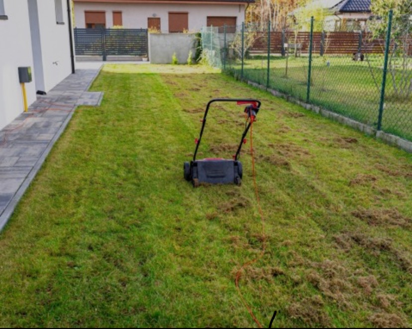 Elektryczny wertykulator na trawniku z resztkami po wertykulacji. Widoczny fragment kostki brukowej, ogrodzenie i budynek w tle. Słoneczny dzień.
