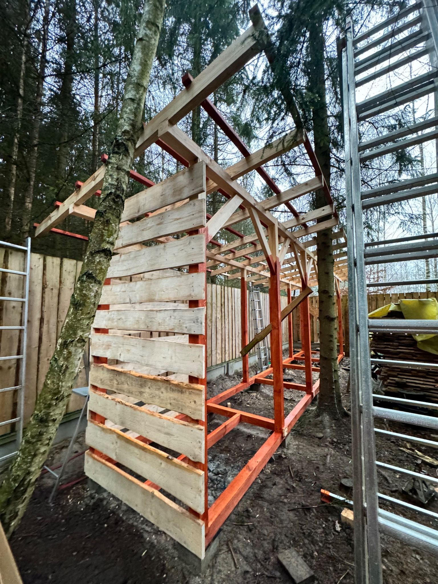 Konstrukcja z drewna w Bartoszówce, częściowo obita deskami, z drzewem w środku. Widoczna drabina i narzędzia. Etap budowy w otoczeniu drzew.