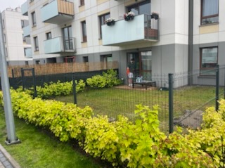 Nowoczesne ogrodzenie panelowe w kolorze grafitowym, otaczające niewielki ogródek przed blokiem mieszkalnym z zielonym trawnikiem i ozdobnymi krzewami o żółtych liściach.