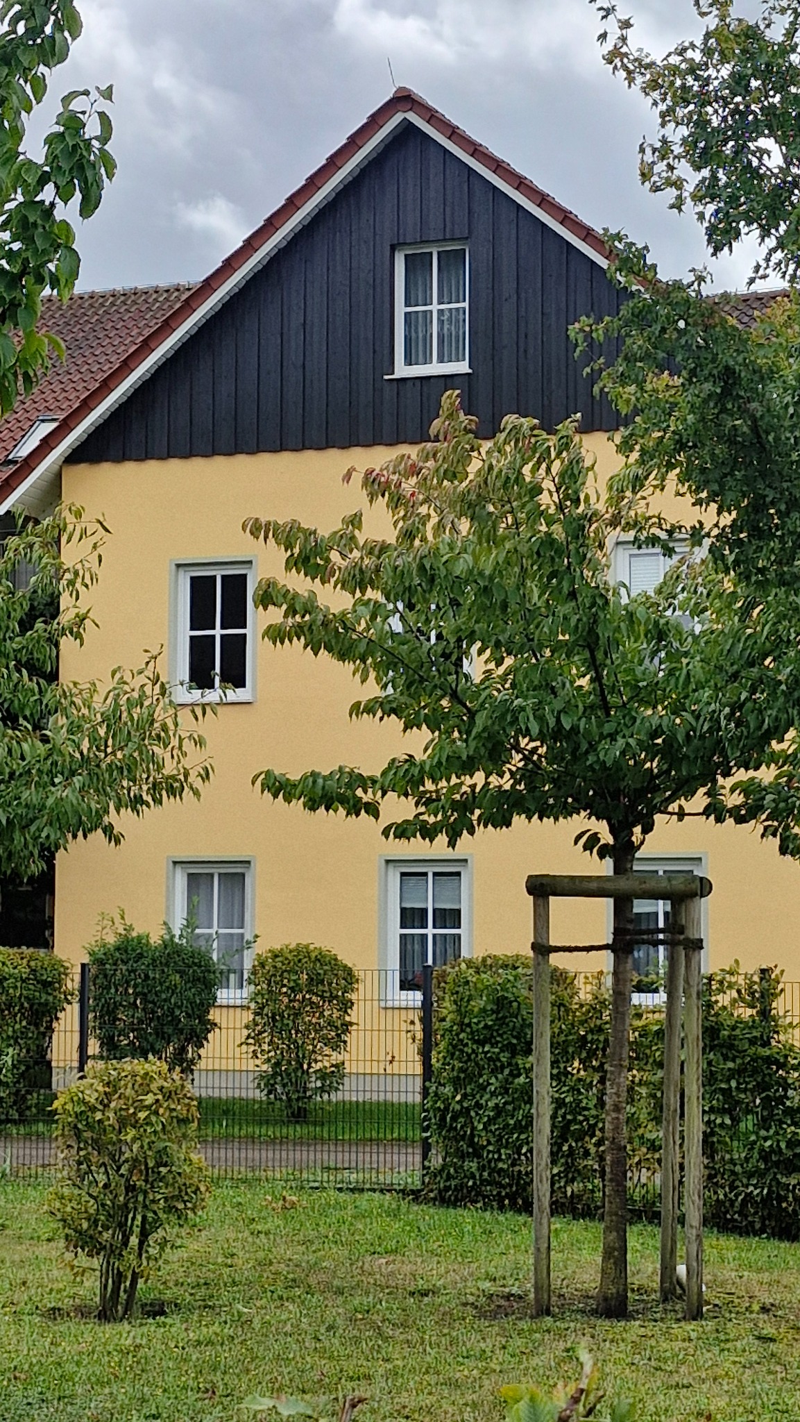 Żółty dom z czarnym szczytem i białymi oknami, otoczony zielenią. Widok z zewnątrz, ogrodzenie i drzewa w kadrze. Dom po malowaniu elewacji.