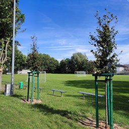 SELTON SPÓŁKA Z OGRANICZONĄ ODPOWIEDZIALNOŚCIĄ - Kopanie Studni Wrocław