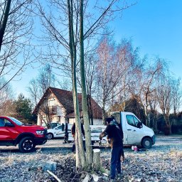 SELTON SPÓŁKA Z OGRANICZONĄ ODPOWIEDZIALNOŚCIĄ - Pracownik tnie drzewo przy użyciu piły łańcuchowej, obok stoi biały samochód dostawczy, w tle dom z czerwoną dachówką i błękitne niebo.