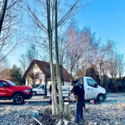 Pracownik tnie drzewo przy użyciu piły łańcuchowej, obok stoi biały samochód dostawczy, w tle dom z czerwoną dachówką i błękitne niebo.