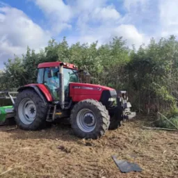 Mulczowanie i rekultywacja terenu