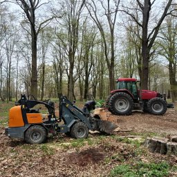 SELTON SPÓŁKA Z OGRANICZONĄ ODPOWIEDZIALNOŚCIĄ - Uporządkowanie terenu po wycince