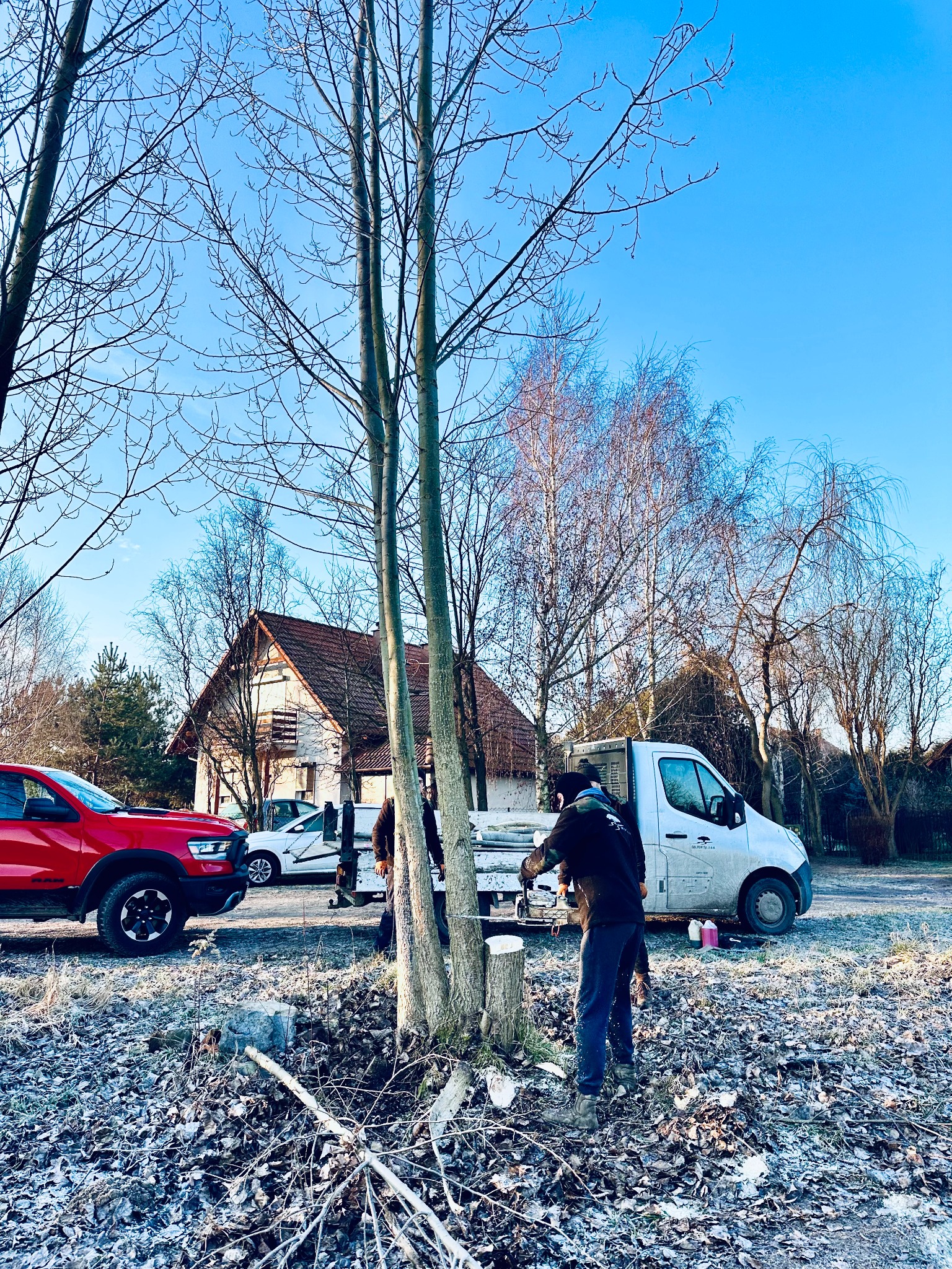 Pracownik tnie drzewo przy użyciu piły łańcuchowej, obok stoi biały samochód dostawczy, w tle dom z czerwoną dachówką i błękitne niebo.