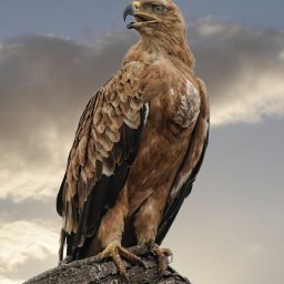 HUAN - Firma Remontowo-budowlana Żywiec