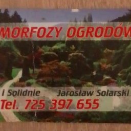 Metamorfozy ogrodów - Najlepsze Przesadzanie Drzew Goleniów