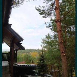 Pielęgnacja ogrodów Robakowo 3