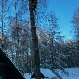 Pielęgnacja ogrodów Robakowo 1