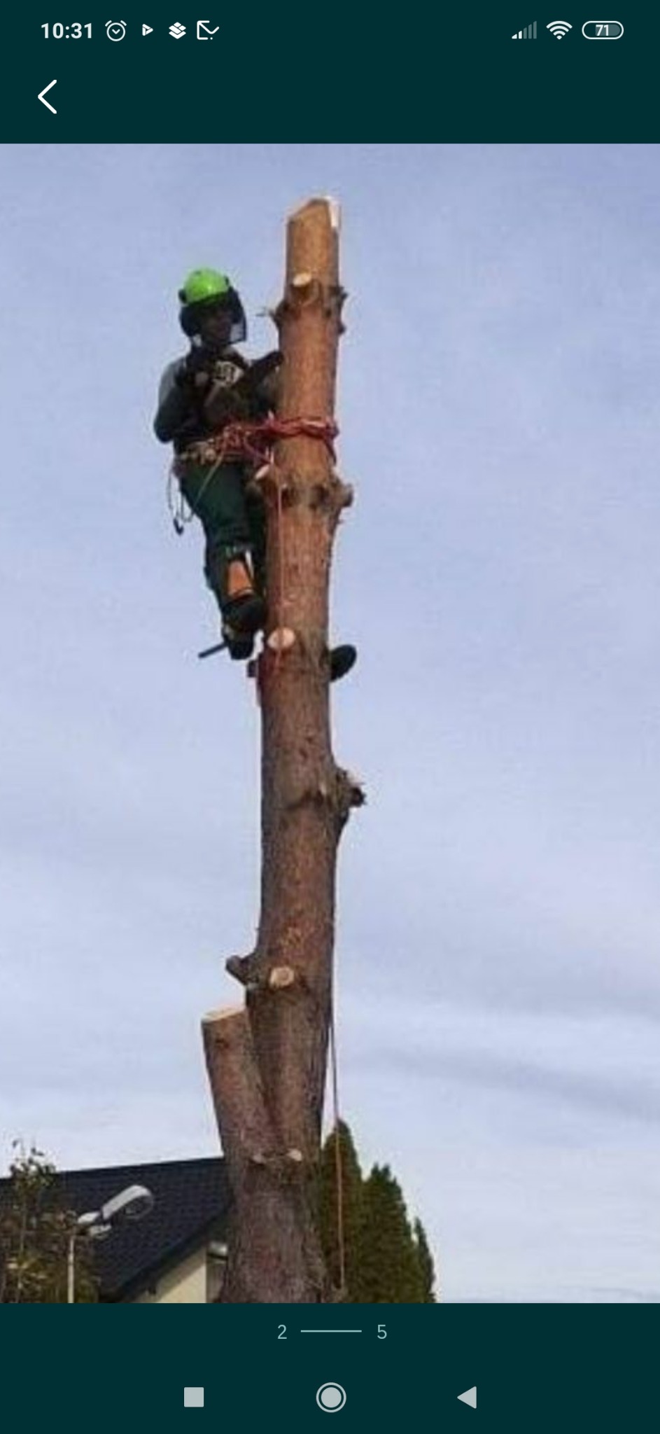 Arborysta w kasku i uprzęży, w trakcie wycinki drzewa na wysokości, z użyciem liny. W tle niebo i fragment budynku.