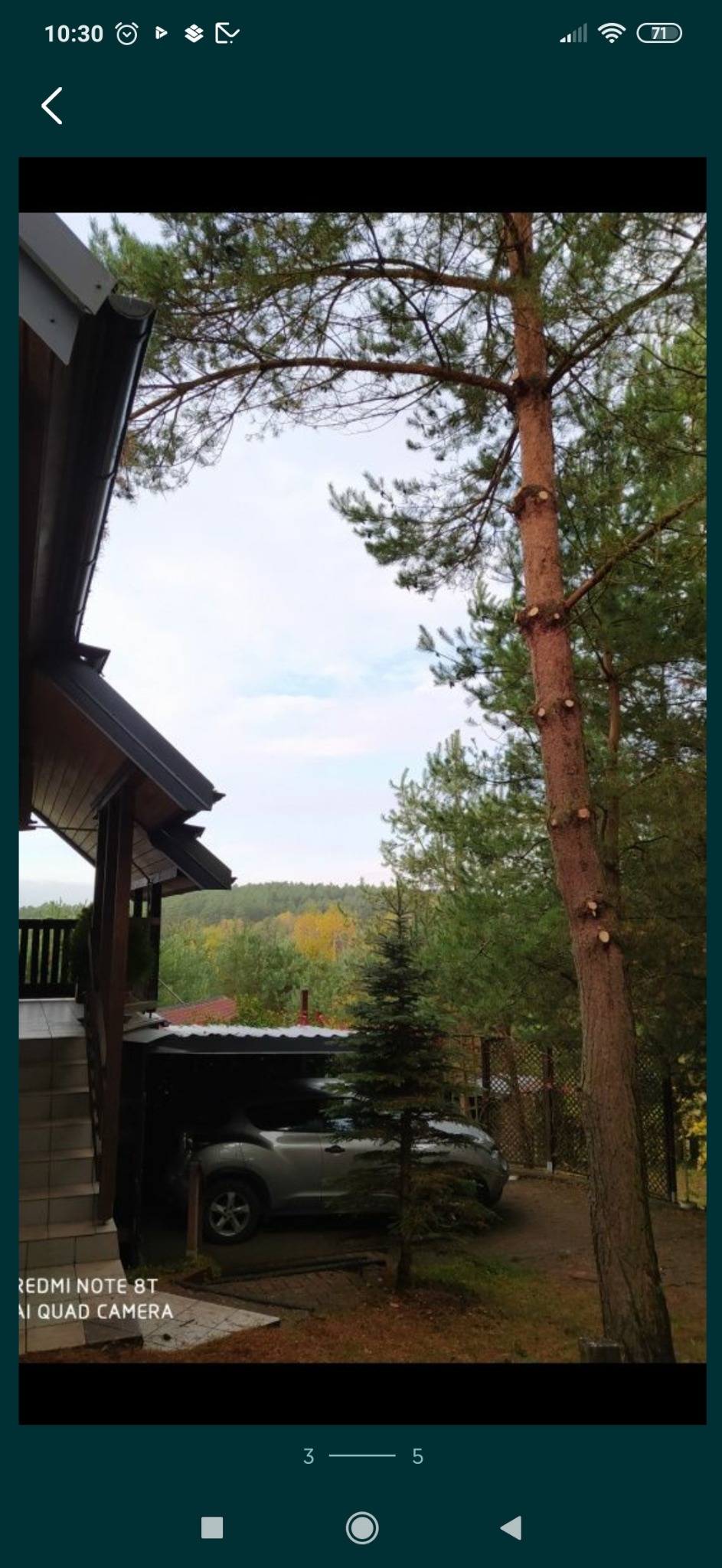 Przycięte gałęzie wysokiej sosny obok domu z zadaszonym miejscem parkingowym. Widoczne ślady po cięciu. Jesienne drzewa w tle.