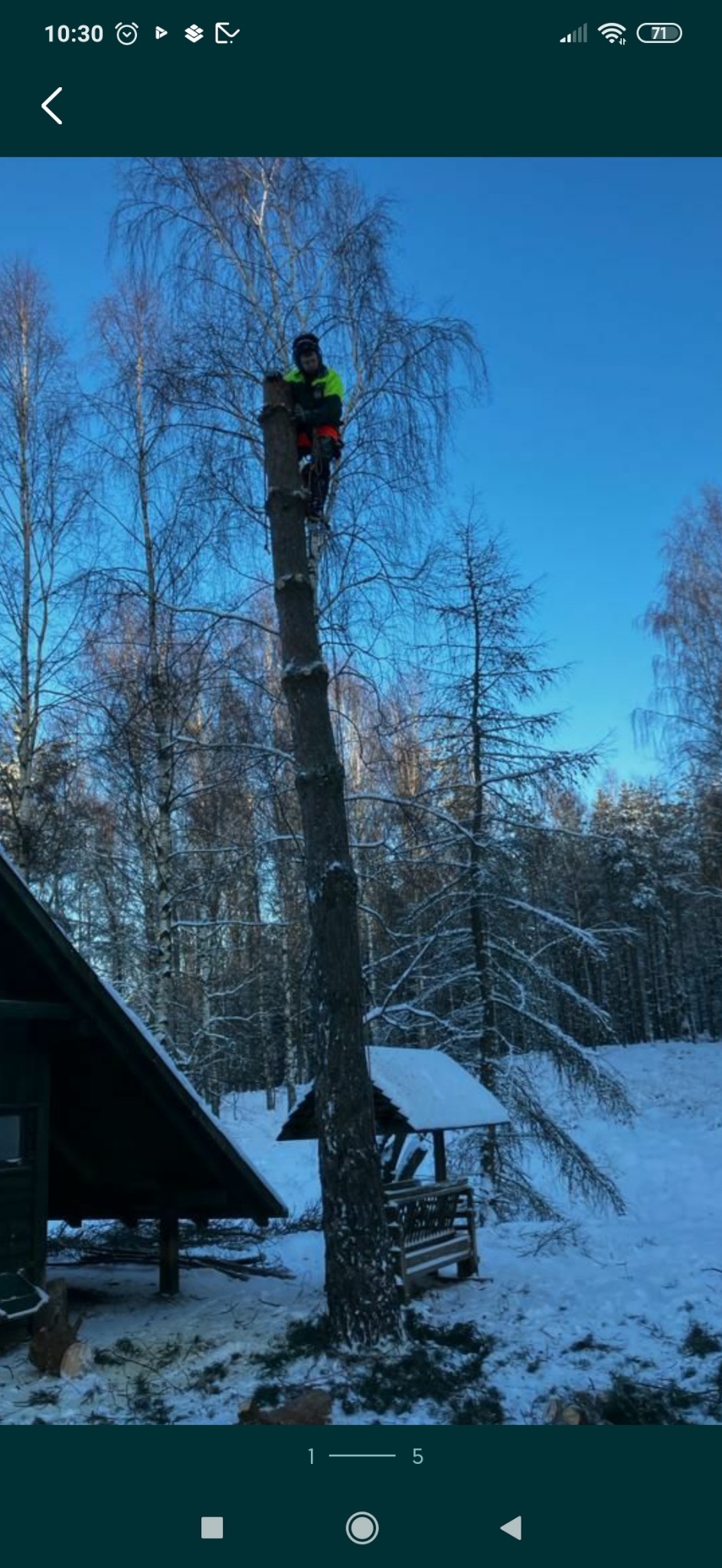 Arborysta w uprzęży, w jaskrawej kamizelce, przycina wysokie drzewo w zimowym krajobrazie. Wokół leżą odcięte gałęzie, a w tle widać ośnieżony las i altanę.
