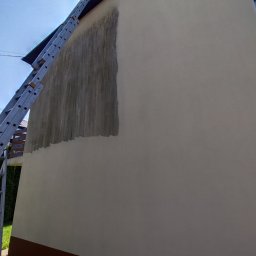 Mycie ciśnieniowe - Wyjątkowe Odgrzybianie Elewacji Dębica