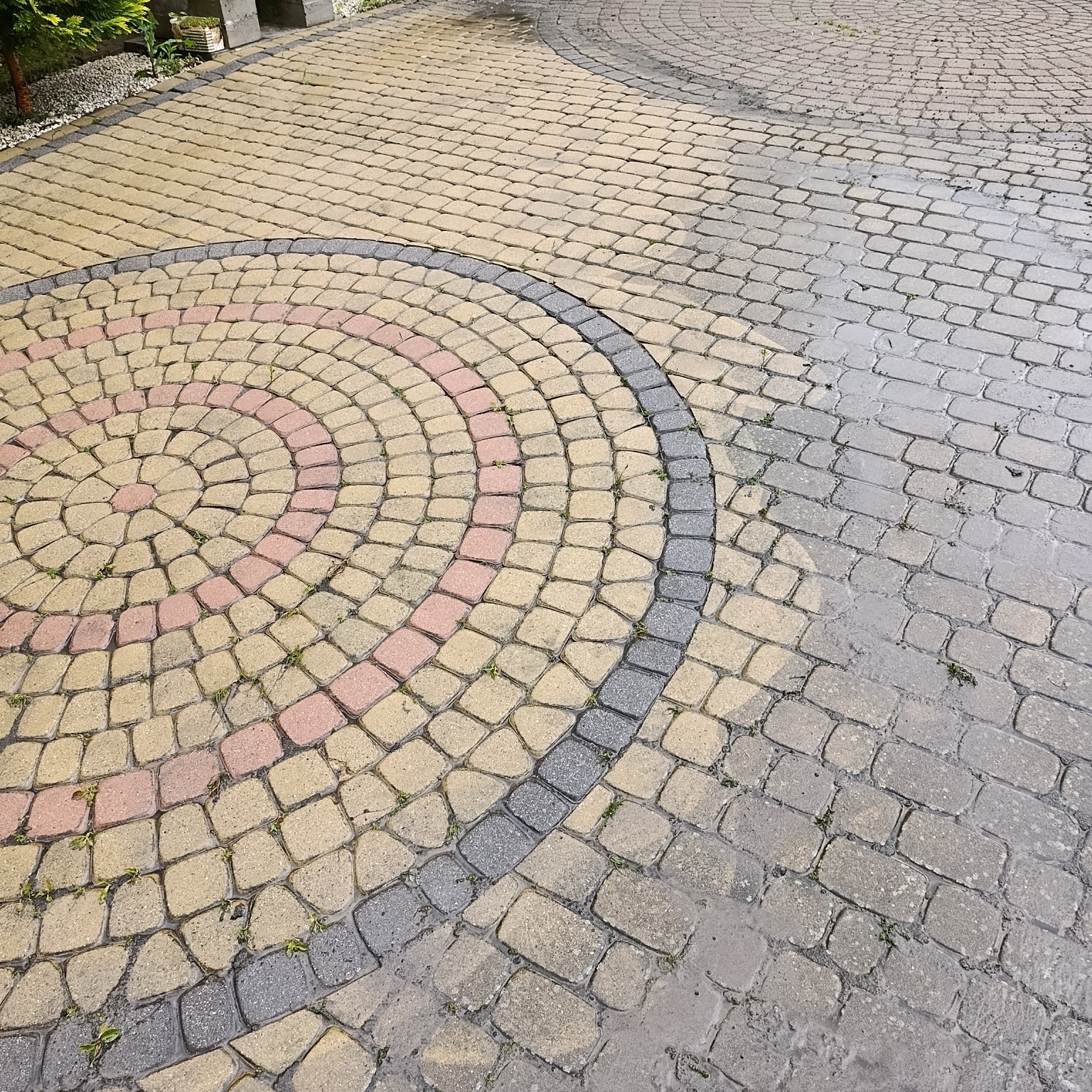 Ułożona kostka brukowa w odcieniach żółci, szarości i różu, tworząca dekoracyjny wzór koła na podjeździe. Widoczne ślady wilgoci i drobna roślinność w spoinach.