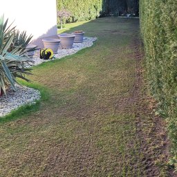 Katarzyna Lehmann-Siemieniuch - Wertykulacja trawnika plus nawożenie.