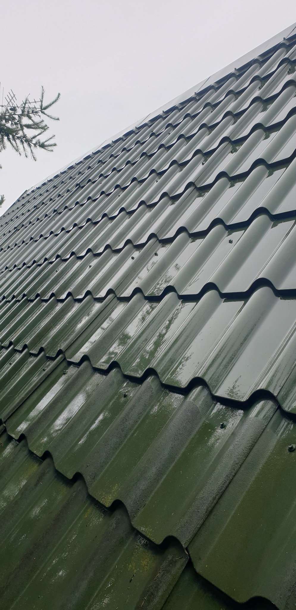 Zielony, mokry dach z blachy trapezowej, ułożony pod kątem. Widoczne ślady wilgoci i zabrudzeń, fragment drzewa w rogu. Dach po myciu.