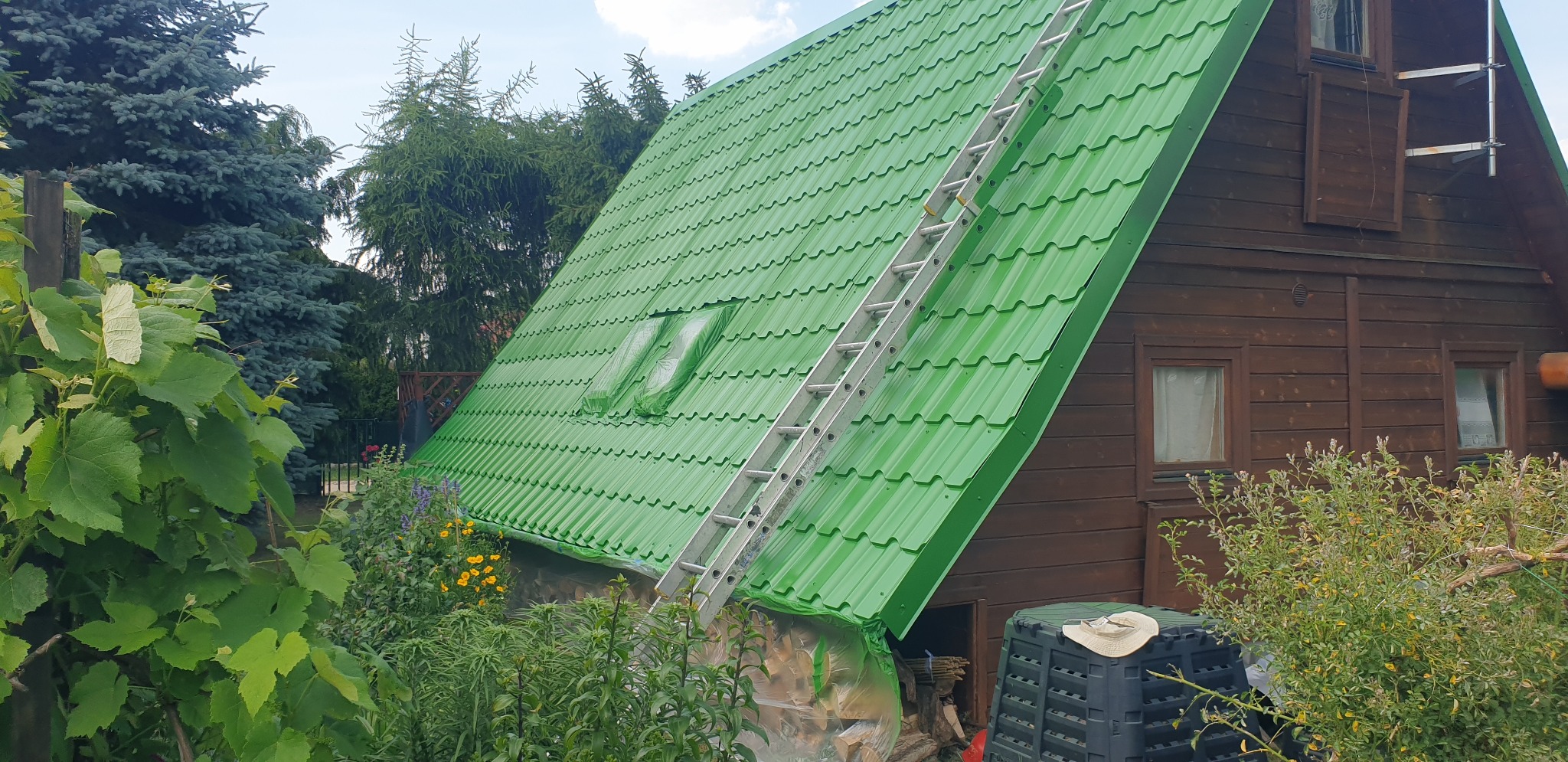 Świeżo pomalowany na zielono dach drewnianego domu z drabina opartą o jego powierzchnię. Okna dachowe zabezpieczone folią malarską.