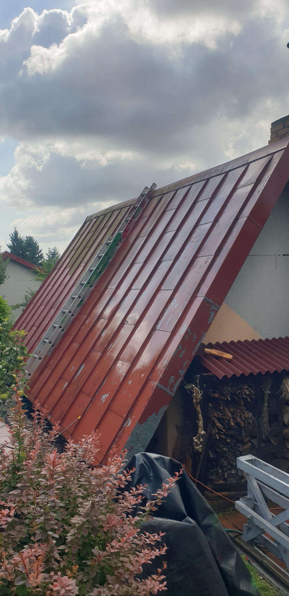 Częściowo pomalowany, czerwony dach z blachy trapezowej. Na dachu drabina aluminiowa. Widoczne ślady starej farby i nowy kolor. Dachówka pod okapem i drewno opałowe w tle.