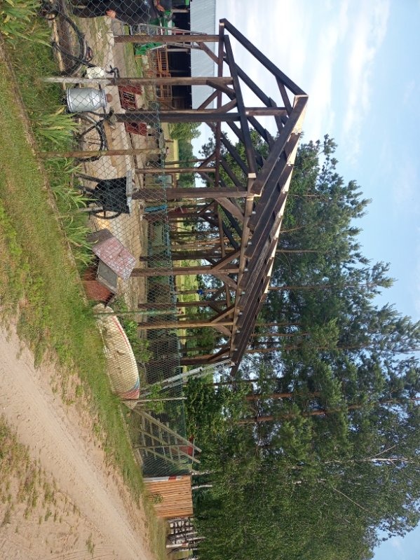 Surowa drewniana konstrukcja zadaszenia w trakcie budowy, widoczna przez siatkę ogrodzeniową, z elementami otoczenia jak drzewa i ścieżka.