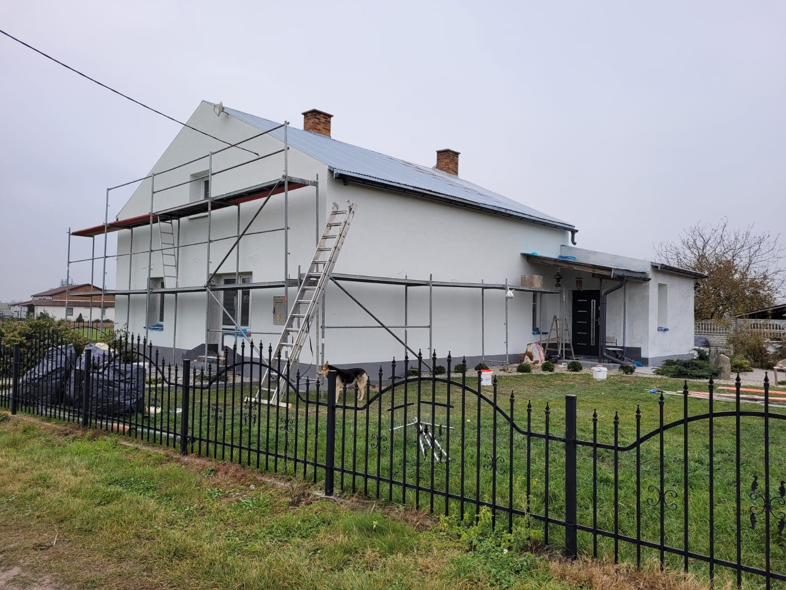 Dom jednorodzinny w trakcie prac elewacyjnych, z rusztowaniem, drabiną i widocznymi pojemnikami z farbą. Pies przy ogrodzeniu. Pochmurny dzień.