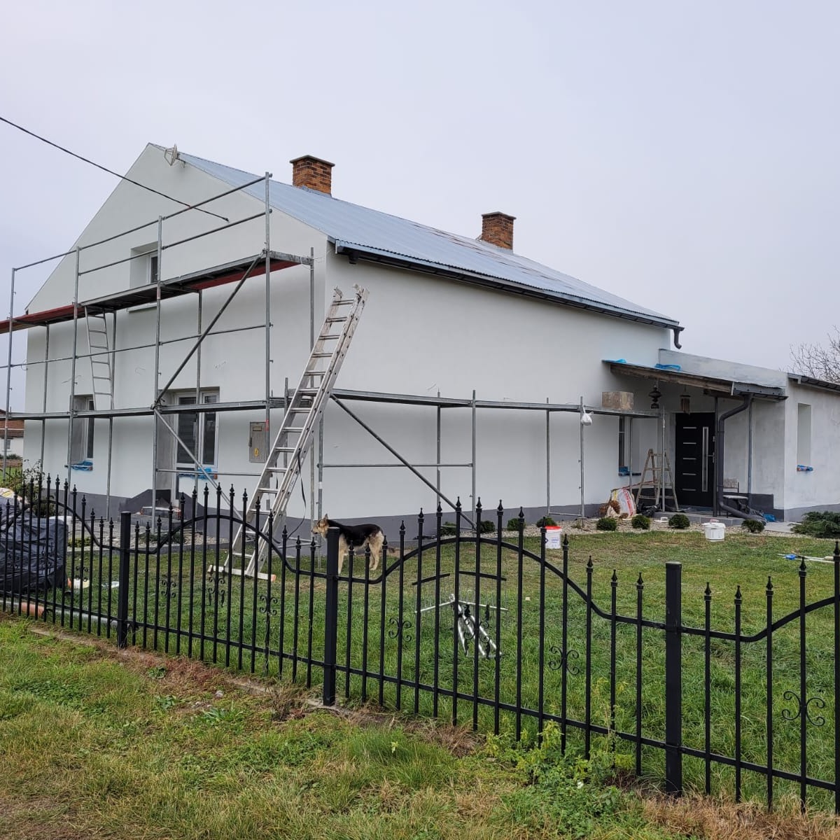 Dom jednorodzinny w trakcie malowania elewacji na biało, widoczne rusztowania, drabina oparta o ścianę, pies przy ogrodzeniu, pochmurny dzień.