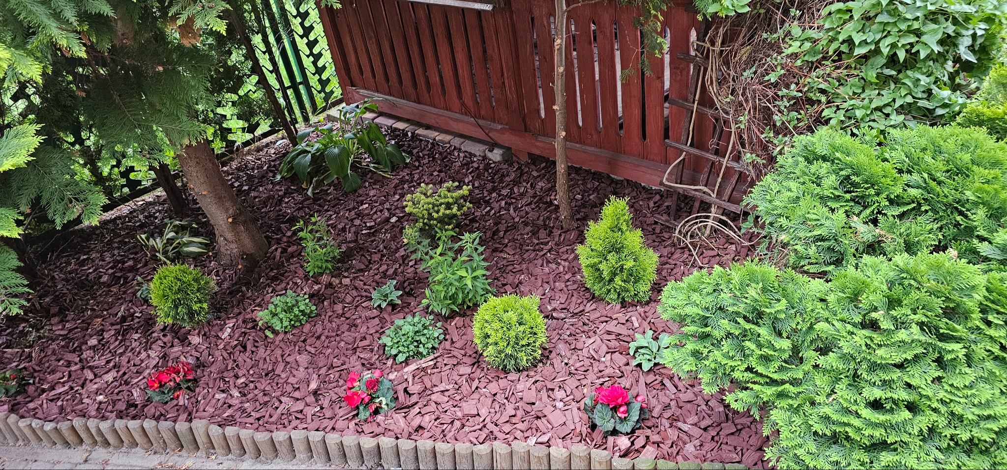 Nawodnienie kropelkowe pod zrębami